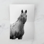 ワイルドホースのグリーティングカード探しガラスのトロット カード (内部)