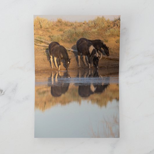 ワイルドホースのグリーティングカード – ワイルドファミリーアットオアシス サンキューカード (内部)