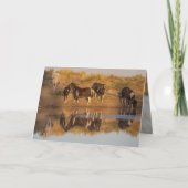 ワイルドホースのグリーティングカード – ワイルドファミリーアットオアシス サンキューカード (正面)