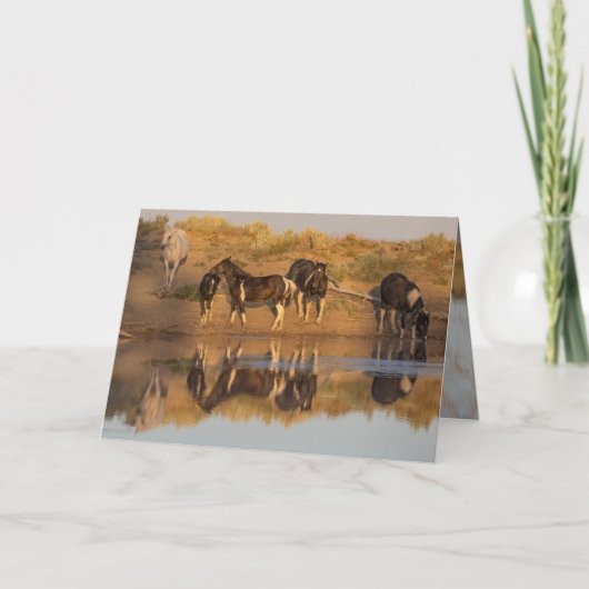 ワイルドホースのグリーティングカード – ワイルドファミリーアットオアシス サンキューカード (正面)