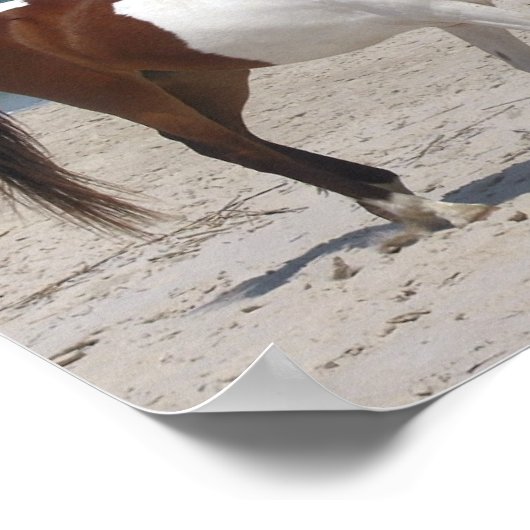 ワイルドホースのポスター ポスター (角)