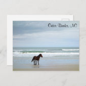 ワイルドホースアウターバンクスCorolla NC ポストカード (正面/裏面)