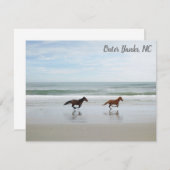 ワイルドホースアウターバンクOBXコロラNC ノートカード (正面/裏面)