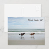 ワイルドホースアウターバンクOBXコロラNC ポストカード (正面/裏面)