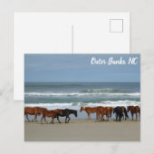 ワイルドホースアウターバンクOBXコロラNC ポストカード (正面/裏面)