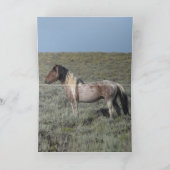 ワイルドホースグリーティングカード2つカラフルの牡馬 サンキューカード (内部)