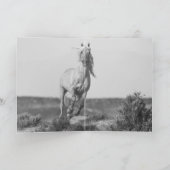 ワイルドホースグリーティングカード – コロナの夏のポートレート カード (内部)