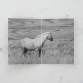 ワイルドホースグリーティングカード-ワイルドパロミノスタリオン カード (内部)