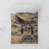 ワイルドホースグリーティングカード – ワイルドピント&アパロオサス サンキューカード (内部)