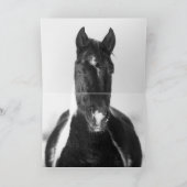 ワイルドホースグリーティングカード – 絵を描冬 カード (内部)