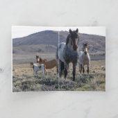 ワイルドホースグリーティングカード – 青と彼の家族 サンキューカード (内部)