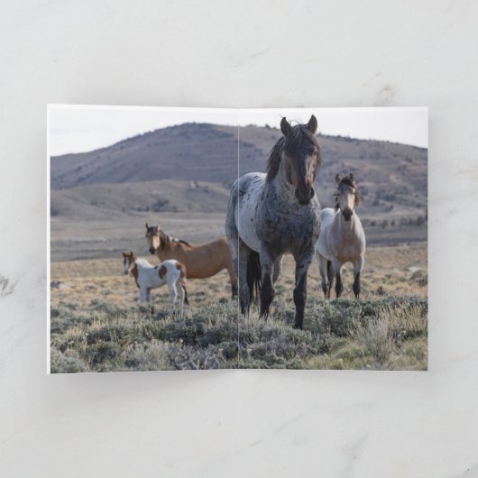 ワイルドホースグリーティングカード – 青と彼の家族 サンキューカード (内部)