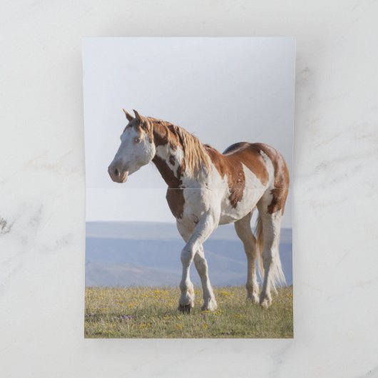 ワイルドホースグリーティングカード – Teton's Challenge サンキューカード (内部)