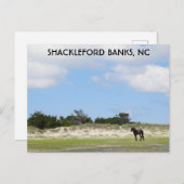 ワイルドホースシャックレフォードバンクノースカロライナ ポストカード (正面/裏面)