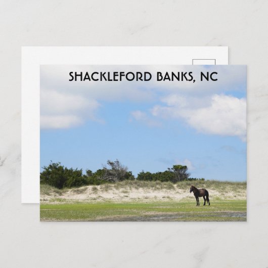 ワイルドホースシャックレフォードバンクノースカロライナ ポストカード (正面/裏面)