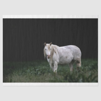 ワイルドホースティッシュペーパー 薄葉紙