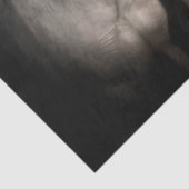 ワイルドホースデクページティッシュペーパー 薄葉紙 (詳細)