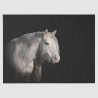 ワイルドホースデクページティッシュペーパー 薄葉紙