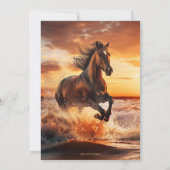 ワイルドホースフリーダムコースタルリタイオメントパーティー 招待状 (裏面)