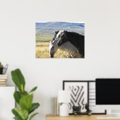 ワイルドホースブラックバンドプリントポスター ポスター (ホームオフィス)