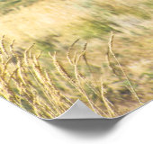 ワイルドホースブラックバンドプリントポスター ポスター (角)