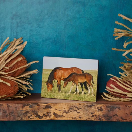 ワイルドホースマザーと子馬放牧 フォトプラーク (側面)