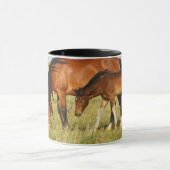 ワイルドホースマザーと子馬放牧 マグカップ (中央)
