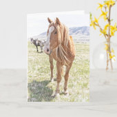 ワイルドホースマスタンググリーティング空白のカード(内部) カード (黄色い花)