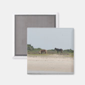 ワイルドホース磁石 マグネット (正面/裏面)