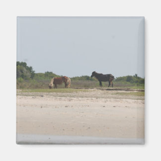 ワイルドホース磁石 マグネット