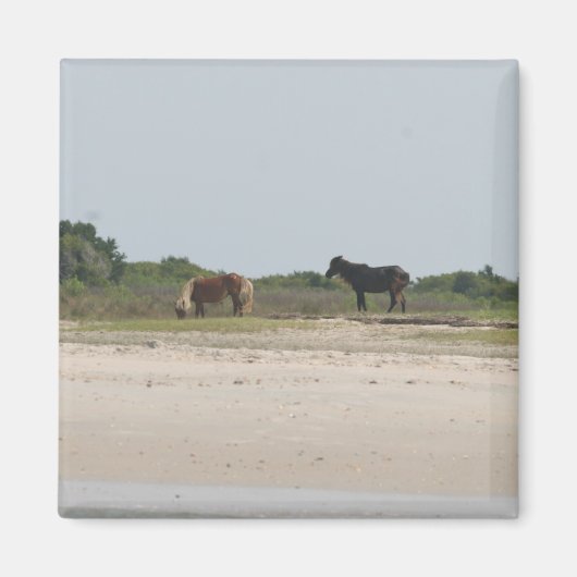 ワイルドホース磁石 マグネット (正面)