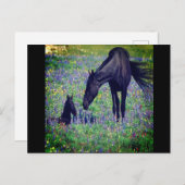 ワイルドホース葉書 ポストカード (正面/裏面)