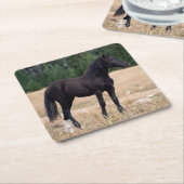 ワイルドホース スクエアペーパーコースター (アングル)