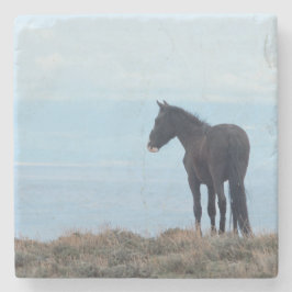 ワイルドホース ストーンコースター