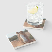 ワイルドホース ストーンコースター (横)