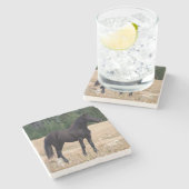 ワイルドホース ストーンコースター (横)