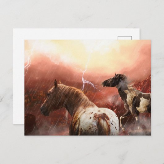ワイルドホース デザートストーム ポストカード (正面/裏面)