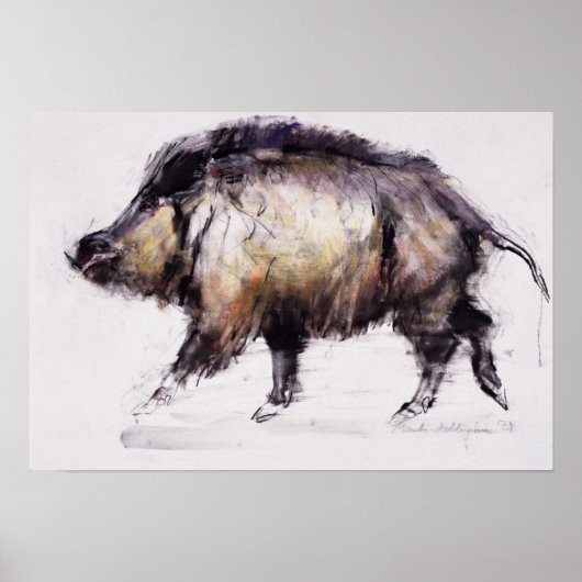 ワイルドボア1999 ポスター (正面)