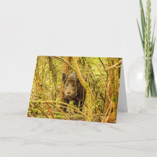 ワイルドボア カード (正面)