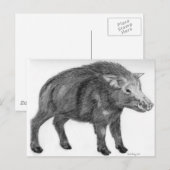 ワイルドボア、ディフェンシブスタンス ポストカード (正面/裏面)