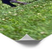 ワイルドボア ポスター (角)