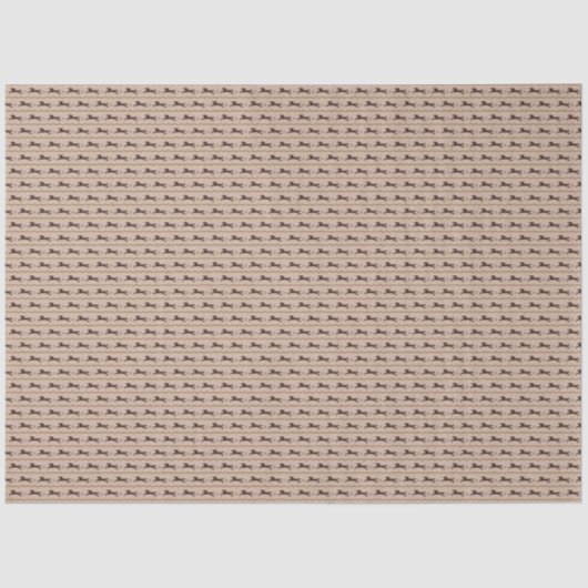 ワイルドポニーオンタン馬好き 薄葉紙 (正面)