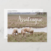 ワイルドポニーズアサーテハーグ – カード (正面/裏面)