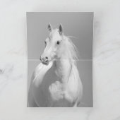 ワイルドマアワールドウマグリーティングカード2枚 カード (内部)