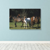 ワイルドマスタングウマ1 キャンバスプリント (インサイチュ (ウッドフロア))