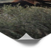 ワイルドマスタングウマ2 ポスター (角)