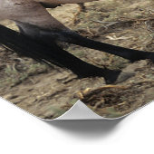 ワイルドマスタングウマ5 ポスター (角)