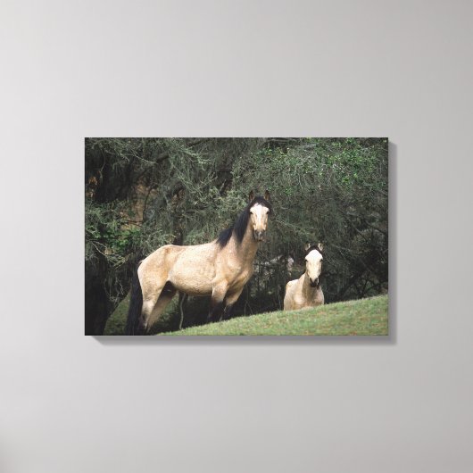 ワイルドマスタングウマ6 キャンバスプリント (正面)