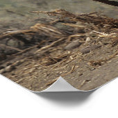 ワイルドマスタングウマ7 ポスター (角)