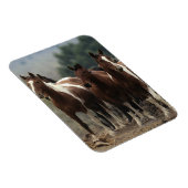 ワイルドマスタングウマ7 マグネット (右側)